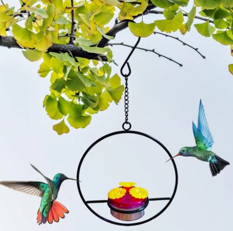 A6714, Hanging Hummingbird Feeder
