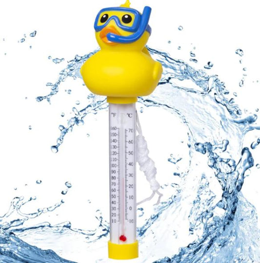 A6450, Swimming Pool Thermometer