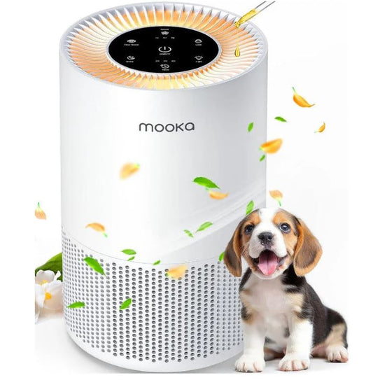 A6649, Air Purifier HAPP1169