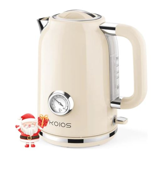 A6565, Electric Tea Kettle