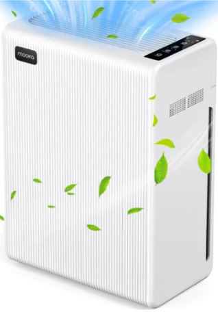 A6537, Air Purifier E-300L & EP1360