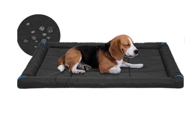 A6699, Dog Bed 36inch