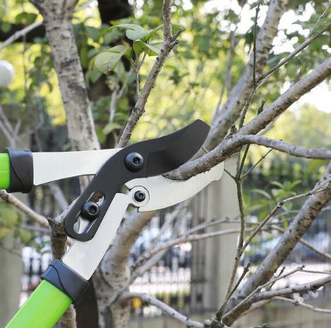 A6201, Telescoping Bypass Lopper Pruners, Heat-Treated Steel, Cutter