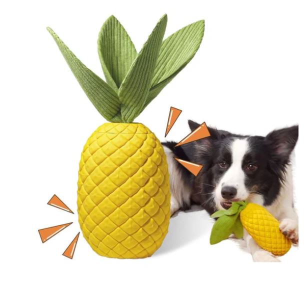 A6667, Dog Toys